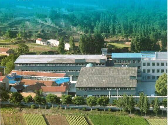 登隆商贸 菲内克斯钢化玻璃系列，厨房里的透明艺术与坚固守护