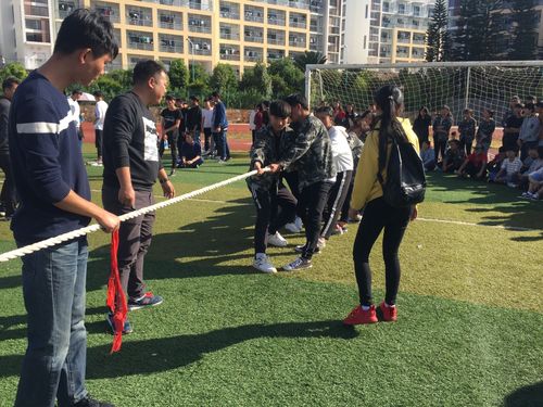 商贸旅游系活动总结